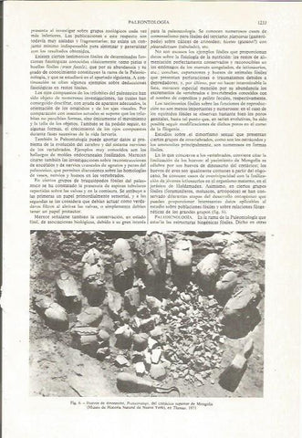 LAMINA ESPASA 36199: Huevos de dinosaurio en Mongolia