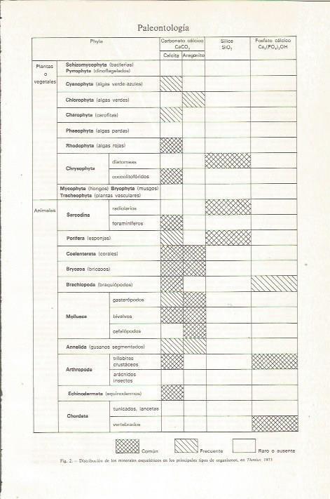 LAMINA ESPASA 36198: Distribucion de los minerales en los organismos