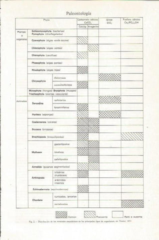 LAMINA ESPASA 36198: Distribucion de los minerales en los organismos