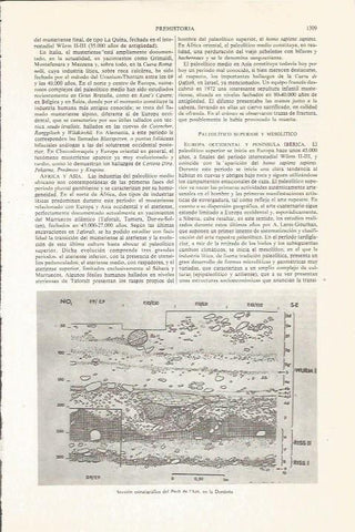 LAMINA ESPASA 36220: Estratigrafia del Pech de l'Aze, Francia