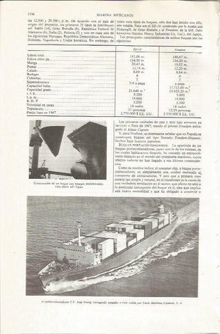LAMINA ESPASA 36190: El portacontenedores CV Stag Houng