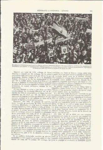 LAMINA ESPASA 35877: Manifestacion de estudiantes cristianos en Beirut contra Nasser.