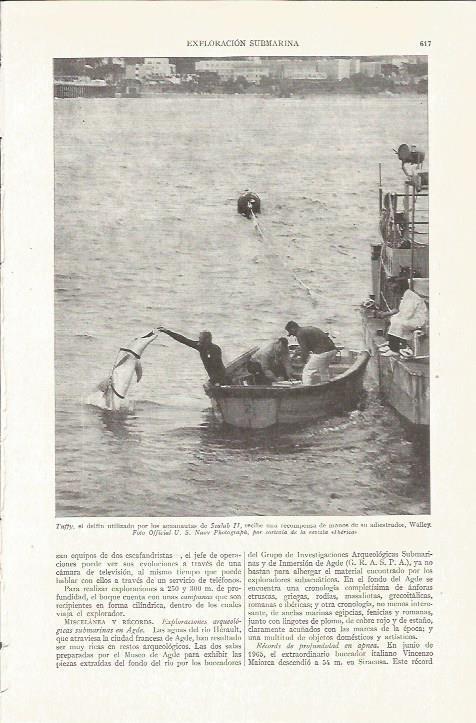 LAMINA ESPASA 35787: El delfin Tuffy