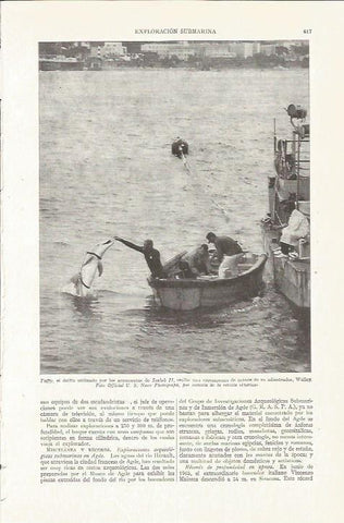 LAMINA ESPASA 35787: El delfin Tuffy