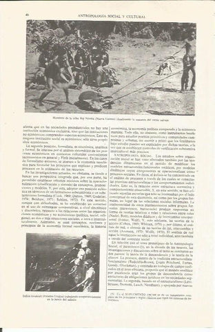 LAMINA ESPASA 35964: Hombres de la tribu Big Namba de Nueva Guinea