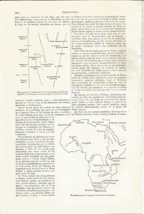LAMINA ESPASA 35921: Mapa arqueologico de yacimientos de Africa