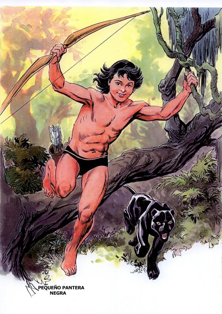 Poster DIN 4 numero 0022: Pequeño Pantera Negra, serie Clasicos Españoles