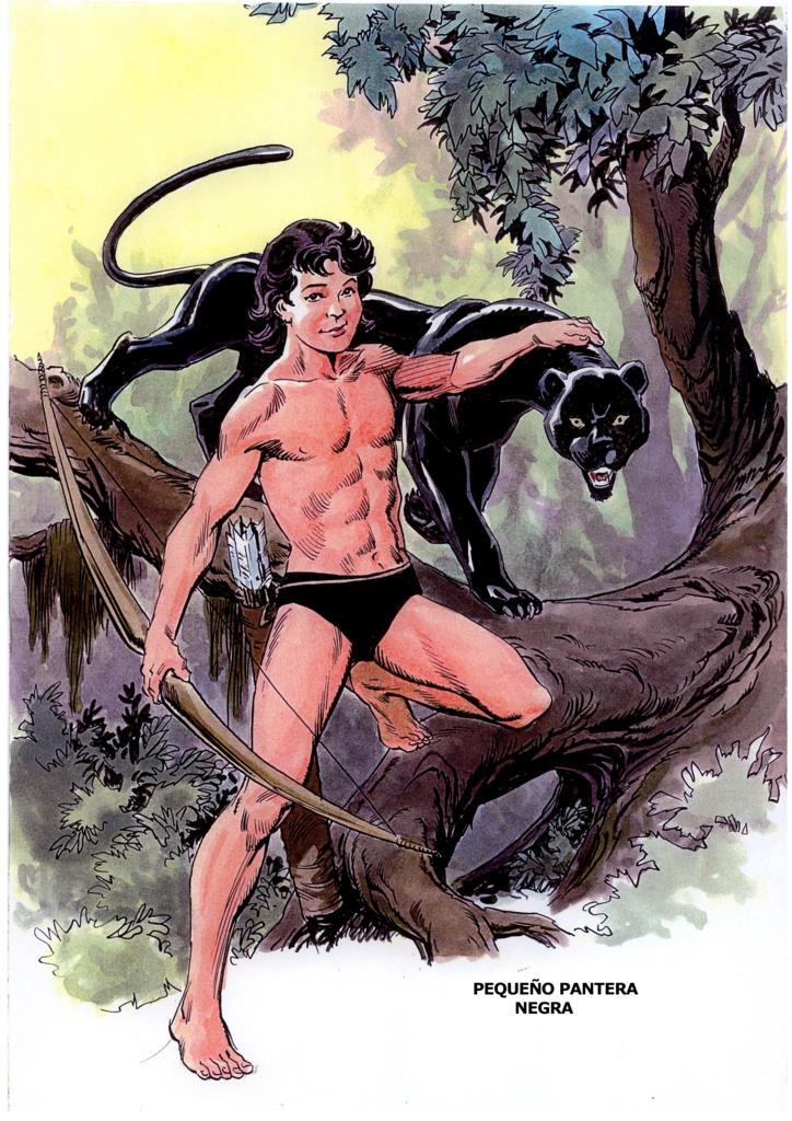 Poster DIN 4 numero 0047: Pequeño Pantera Negra, serie Clasicos Españoles