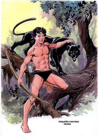 Poster DIN 4 numero 0047: Pequeño Pantera Negra, serie Clasicos Españoles