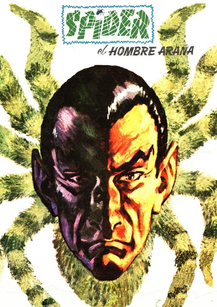 Poster DIN 4 numero 0253: Spider el hombre araña (Flierman)
