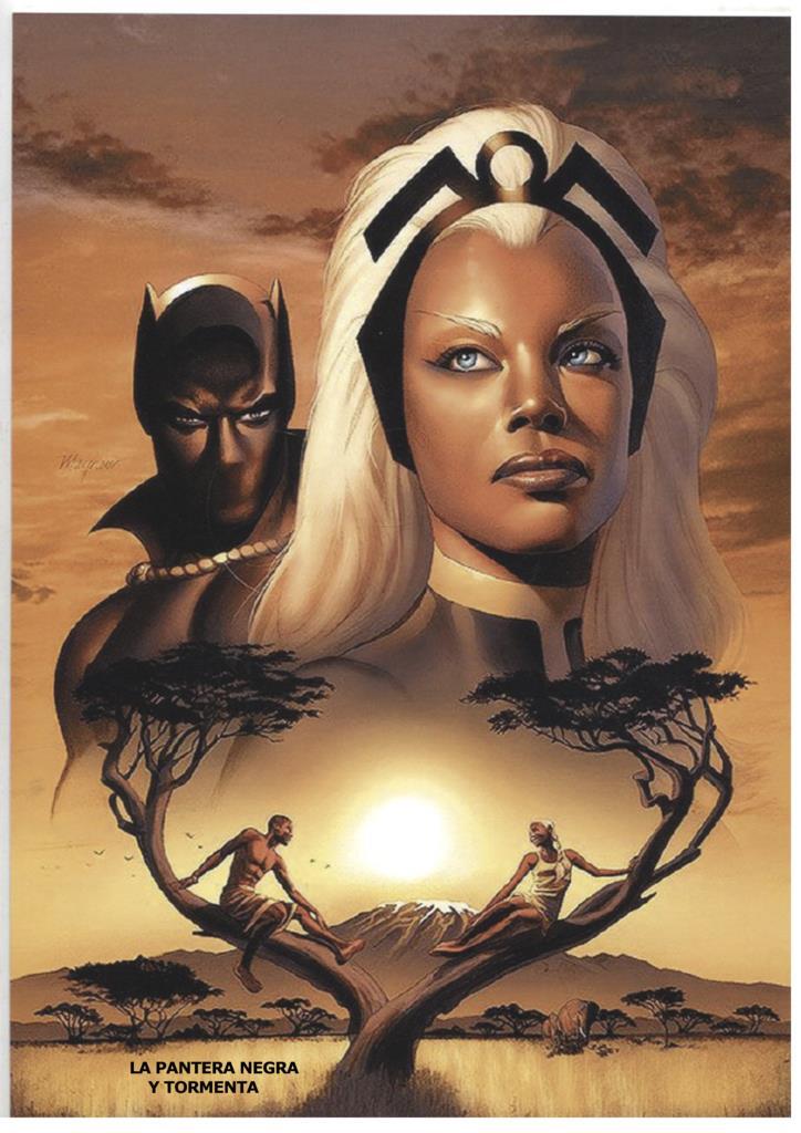 Poster DIN 4 numero 0351: Tormenta y Pantera Negra