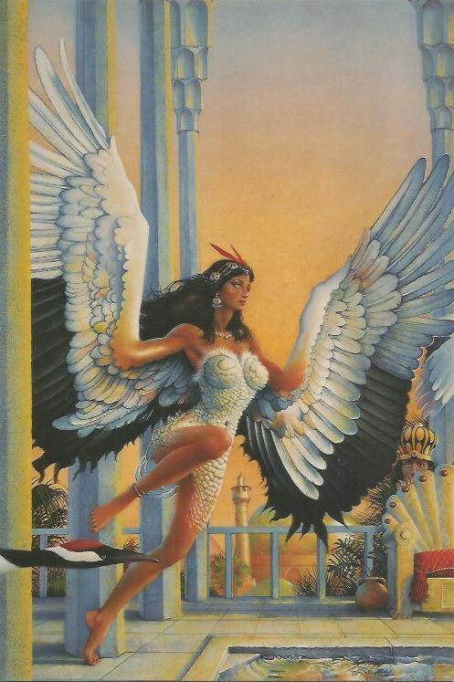 POSTAL 2758: Serie numero 29 Bird of Paradise