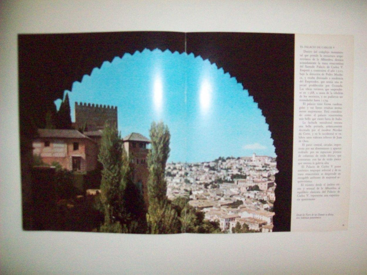 LAMINA 24893: Vista desde la Torre de las Damas de la Alhambra