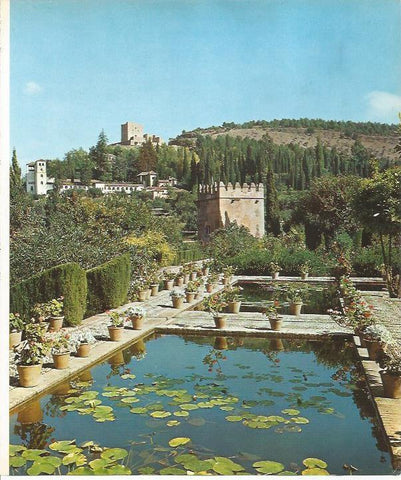 LAMINA 24891: Vista desde el Partal de la Alhambra