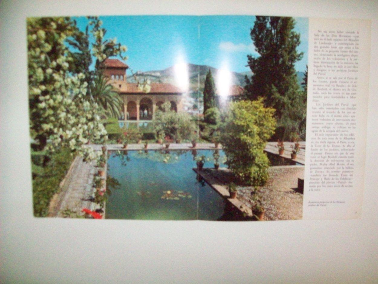LAMINA 24890: Jardines del Partal de la Alhambra