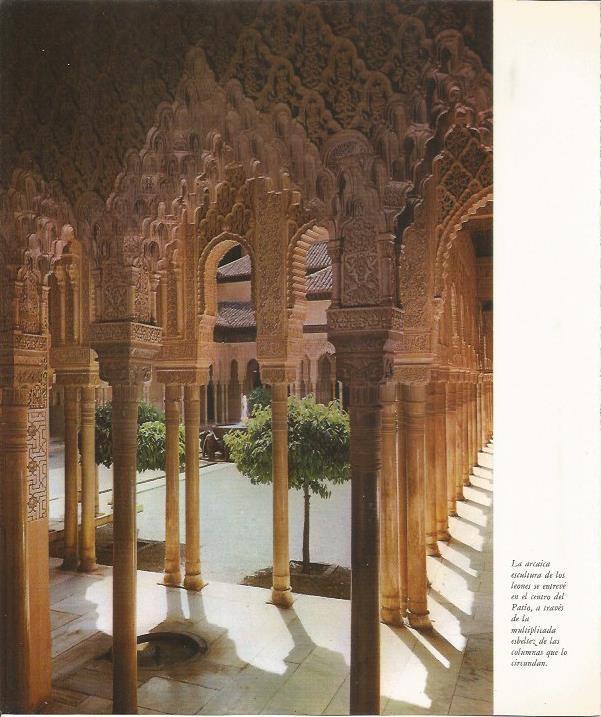 LAMINA 24886: Columnas del Patio de los Leones de la Alhambra
