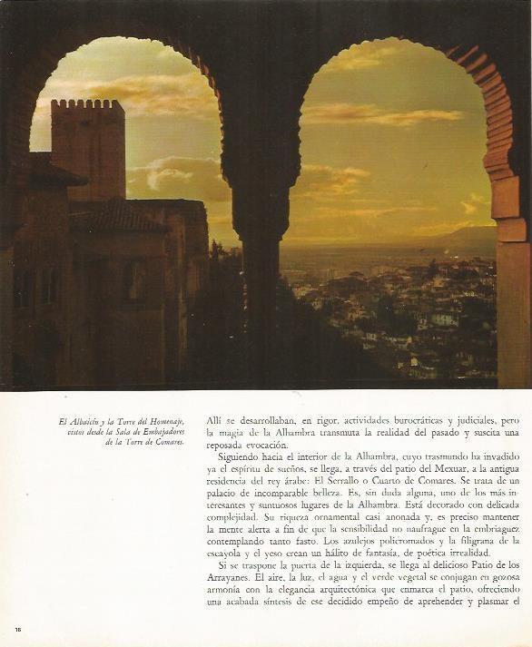 LAMINA 24883: Vista desde la Sala de Embajadores de la Alhambra