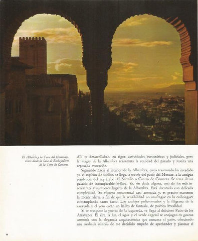 LAMINA 24883: Vista desde la Sala de Embajadores de la Alhambra