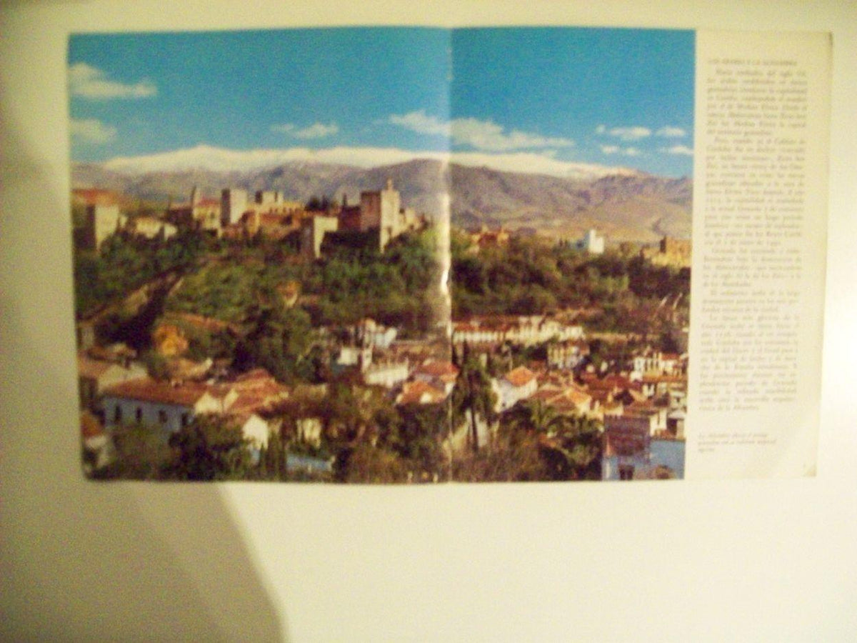 LAMINA 24878: Vista panoramica de la Alhambra