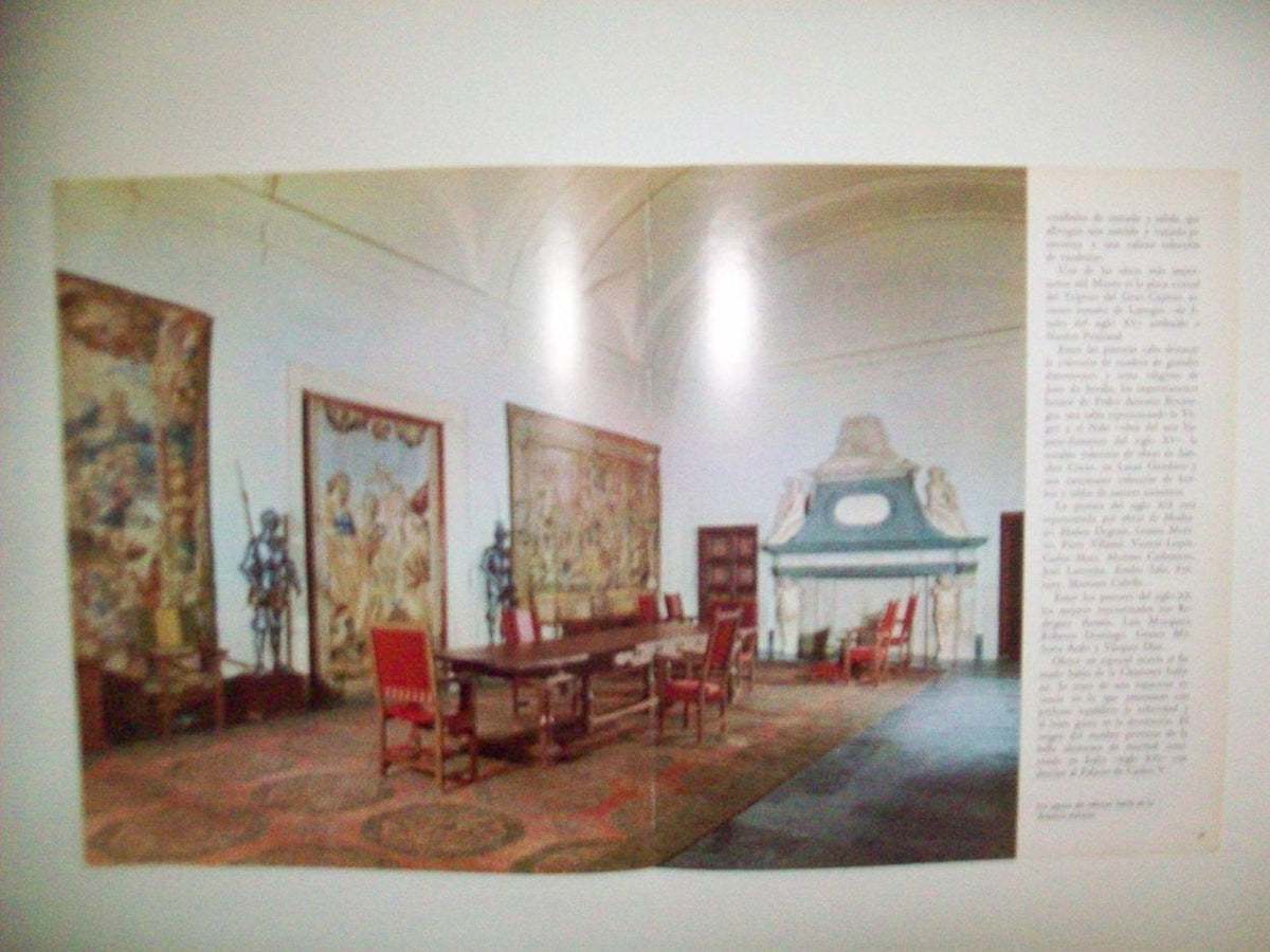 LAMINA 24896: Salon de la Chimenea del Museo de Bellas Artes de Granada
