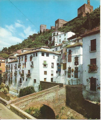 LAMINA 24913: La Alcaiceria de Granada