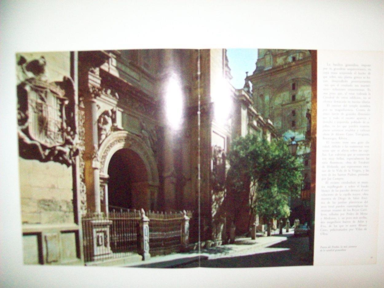 LAMINA 24905: Puerta del Perdon de la catedral de Granada