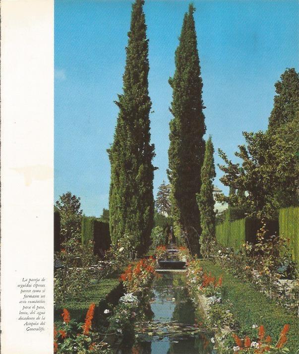 LAMINA 24900: Acequia del Generalife