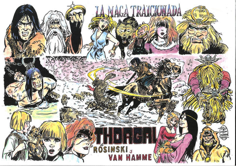 Poster DIN 4 numero 0371: Thorgal: La maga traicionada