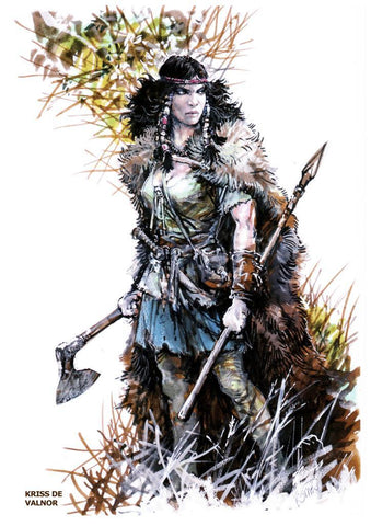 Poster DIN 4 numero 0384: Thorgal: Kriss de Valnor