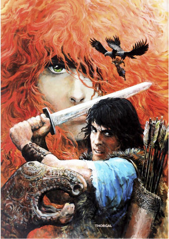 Poster DIN 4 numero 0385: Thorgal