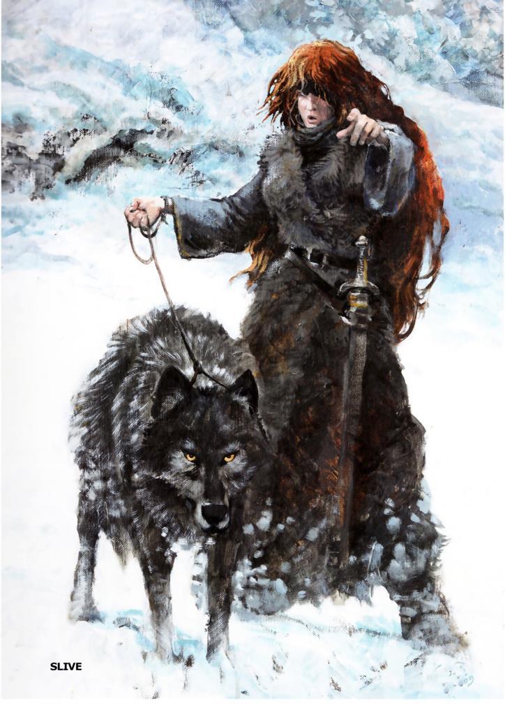 Poster DIN 4 numero 0393: Thorgal: Slive