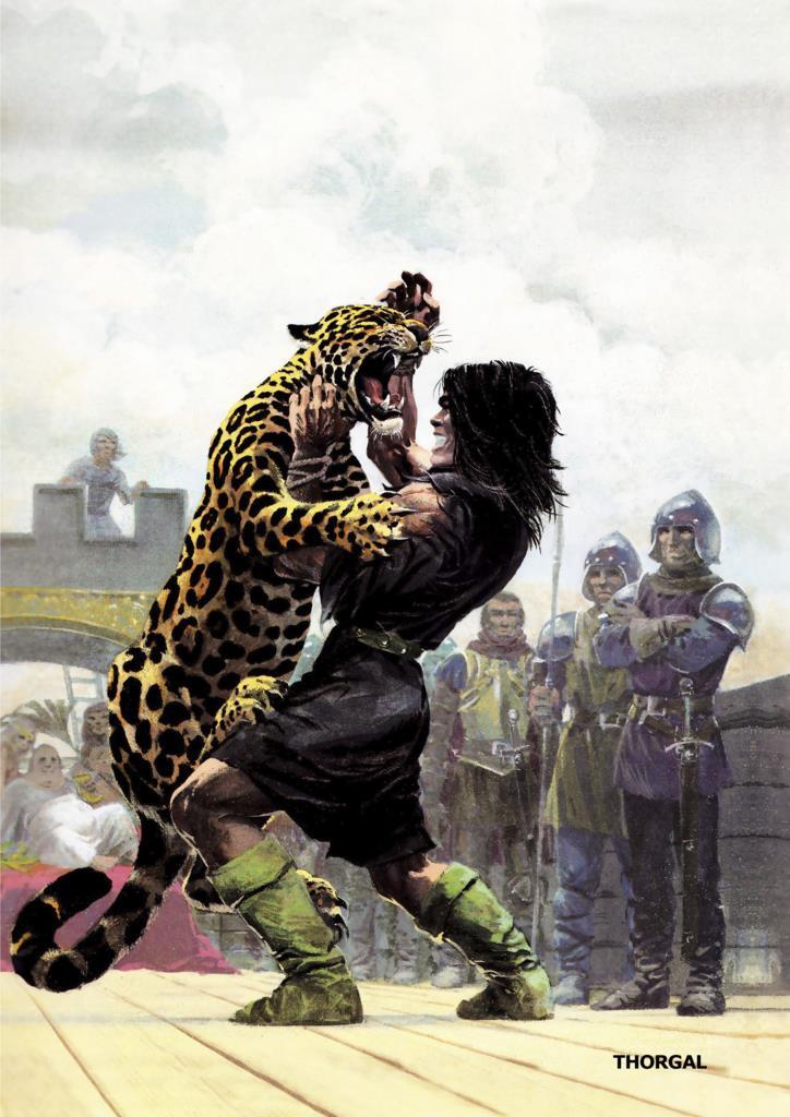 Poster DIN 4 numero 0427: Thorgal