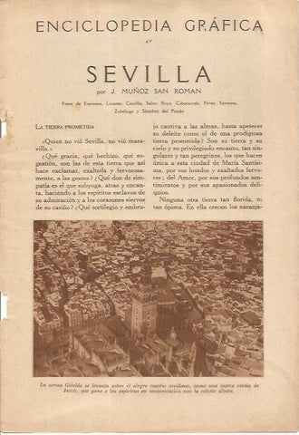 LAMINA 25058: Vista aerea de Sevilla
