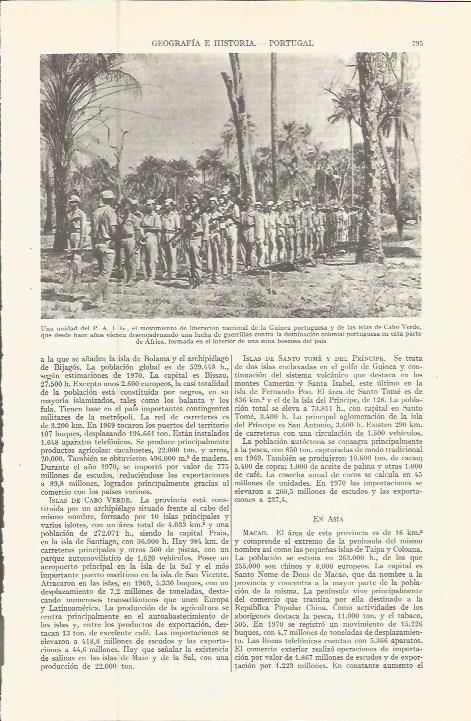 LAMINA ESPASA 36592: Unidad del Movimiento de liberacion nacional de Guinea portuguesa