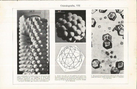 LAMINA ESPASA 36723: Virus cristalizados