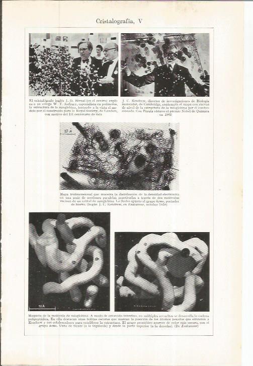 LAMINA ESPASA 36722: J. D. Bernal y J. C. Kendrew