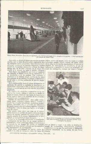 LAMINA ESPASA 36638: Museo Wasa de Estocolmo y Museo de la Universidad de Philadelfia