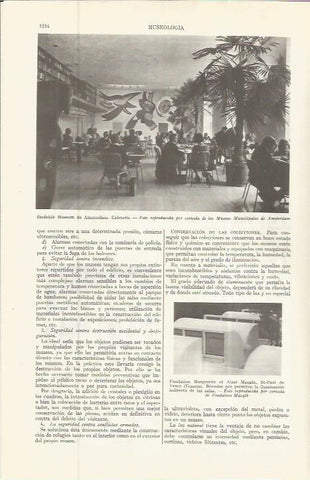 LAMINA ESPASA 36636: Cafeteria del Stedelijk Museum de Amsterdam