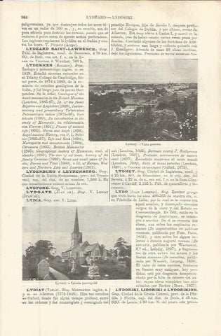 LAMINA ESPASA 36338: Vista e iglesia de Lydney, Inglaterra