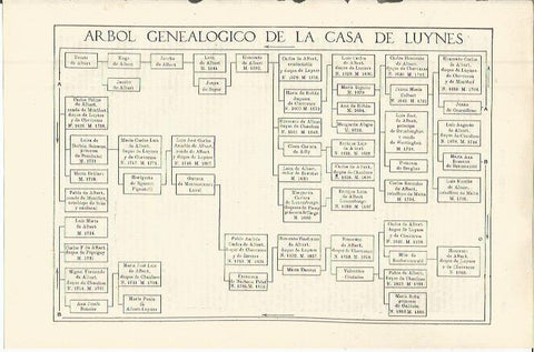LAMINA ESPASA 36334: Arbol genealogico de la Casa de Luynes