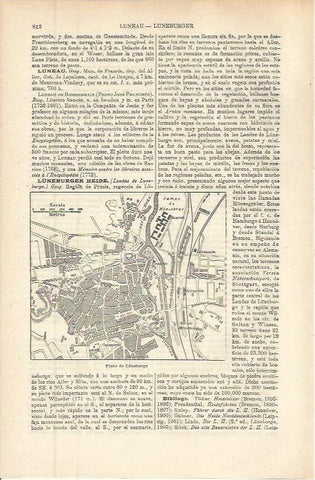 LAMINA ESPASA 36316: Plano de Luneburger, Alemania