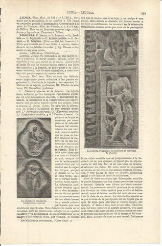 LAMINA ESPASA 36296: La Lujuria, fragmento de la puerta de la Abadia de Charlier