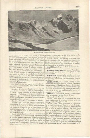 LAMINA ESPASA 36473: Madritsch-Joch en los Alpes