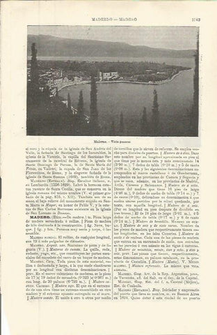 LAMINA ESPASA 36419: Vista de Maderno, Italia