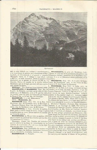 LAMINA ESPASA 36418: Madermertel
