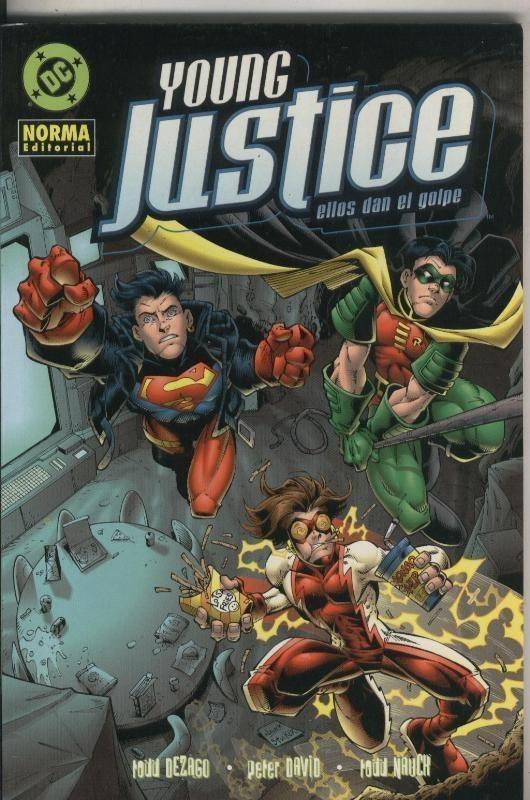 Prestigio: Young Justice: ellos dan el golpe