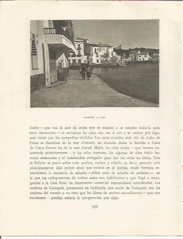 LAMINA 25216: Riba de Cadaques