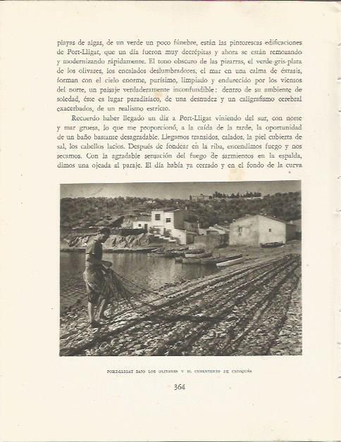 LAMINA 25223: Playa de Port Lligat