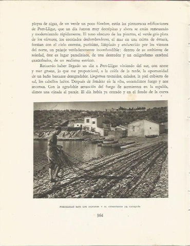 LAMINA 25223: Playa de Port Lligat