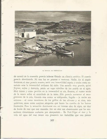 LAMINA 25224: Aguada de Port Lligat